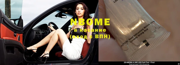 стафф Надым