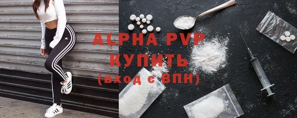 стафф Надым