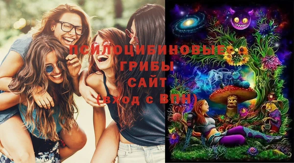 спиды Михайловск