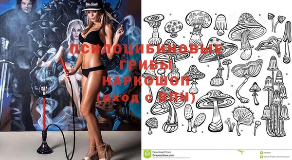 сатива Михайловка