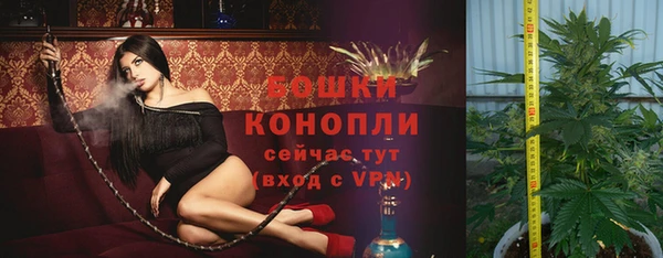 бошки Михайлов