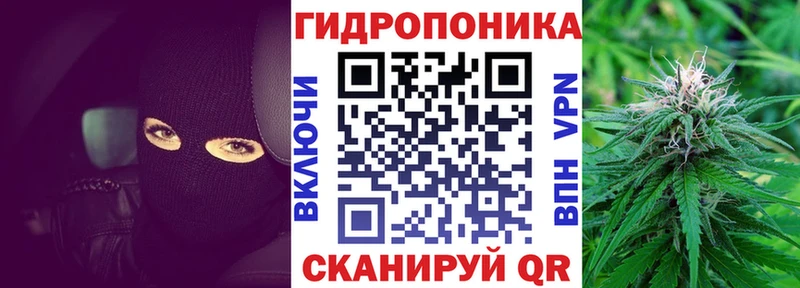 продажа наркотиков  Карабаш  дарк нет официальный сайт  Шишки марихуана сатива 